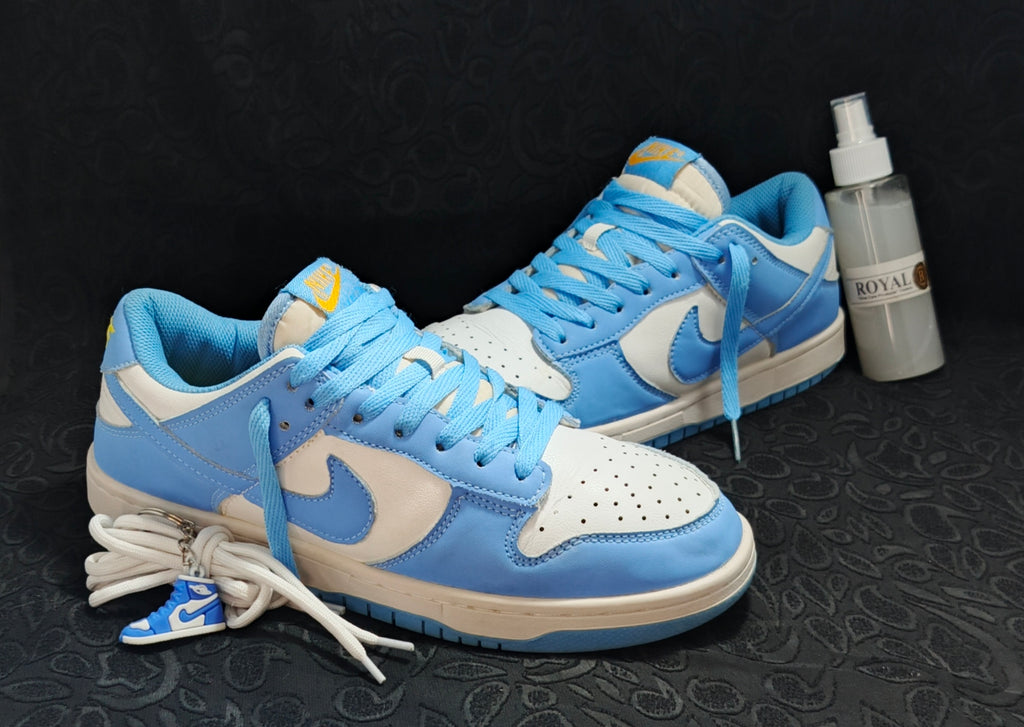 Nike Dunk Low "Coast" (UNC)