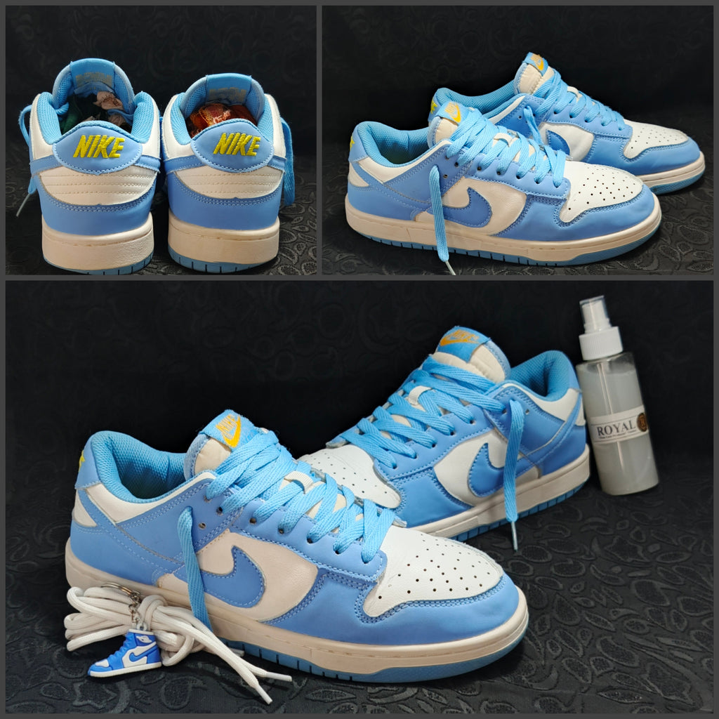 Nike Dunk Low "Coast" (UNC)